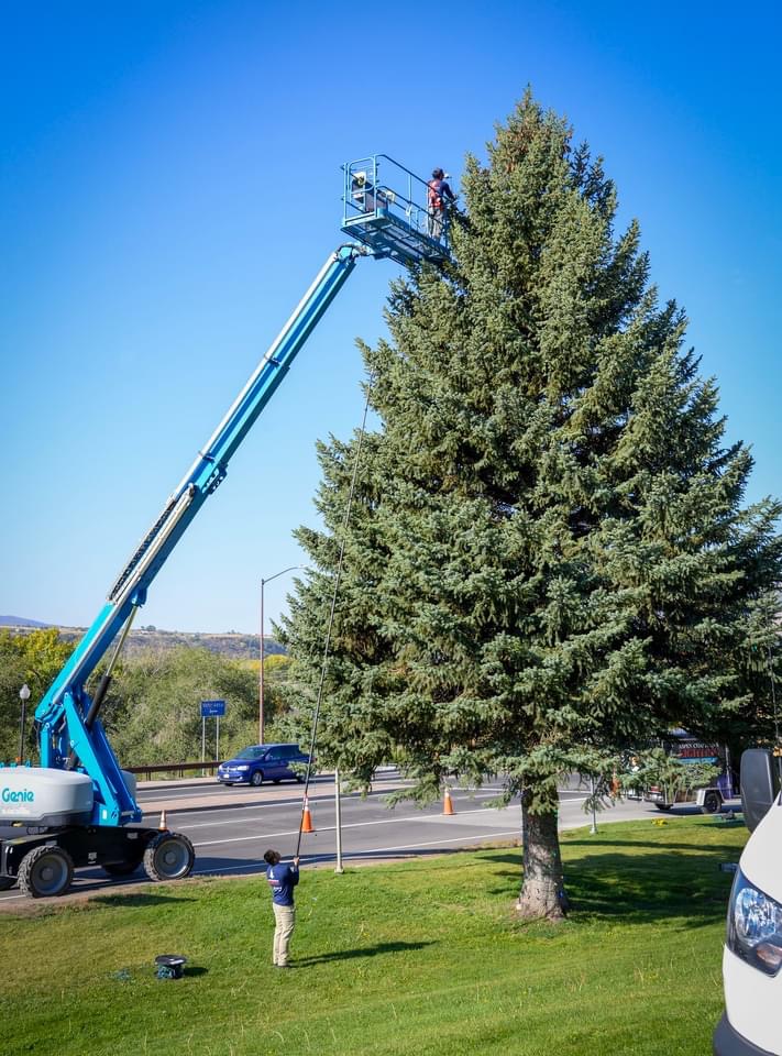 Tree Lighting 6