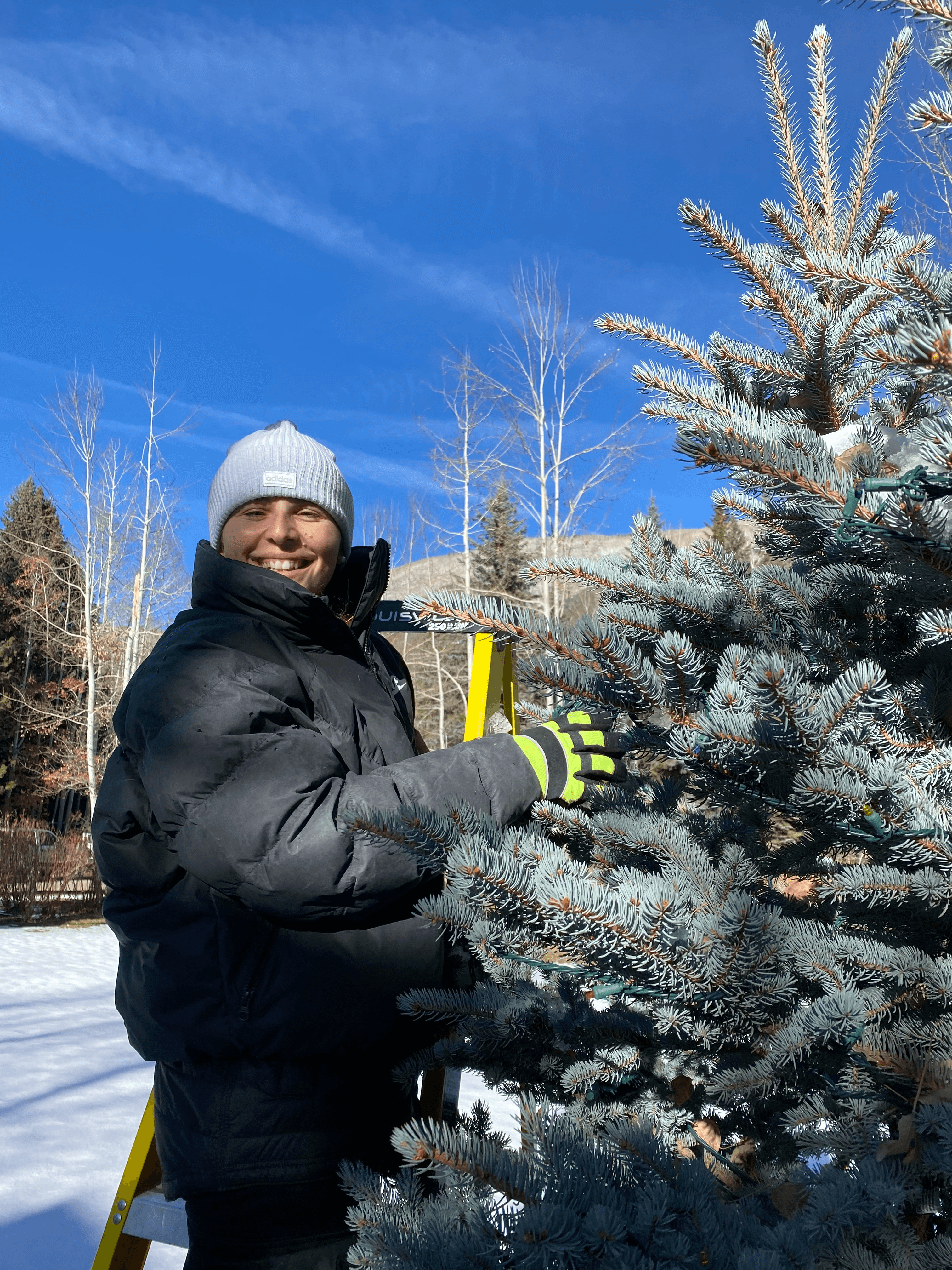 Tree Lighting 17