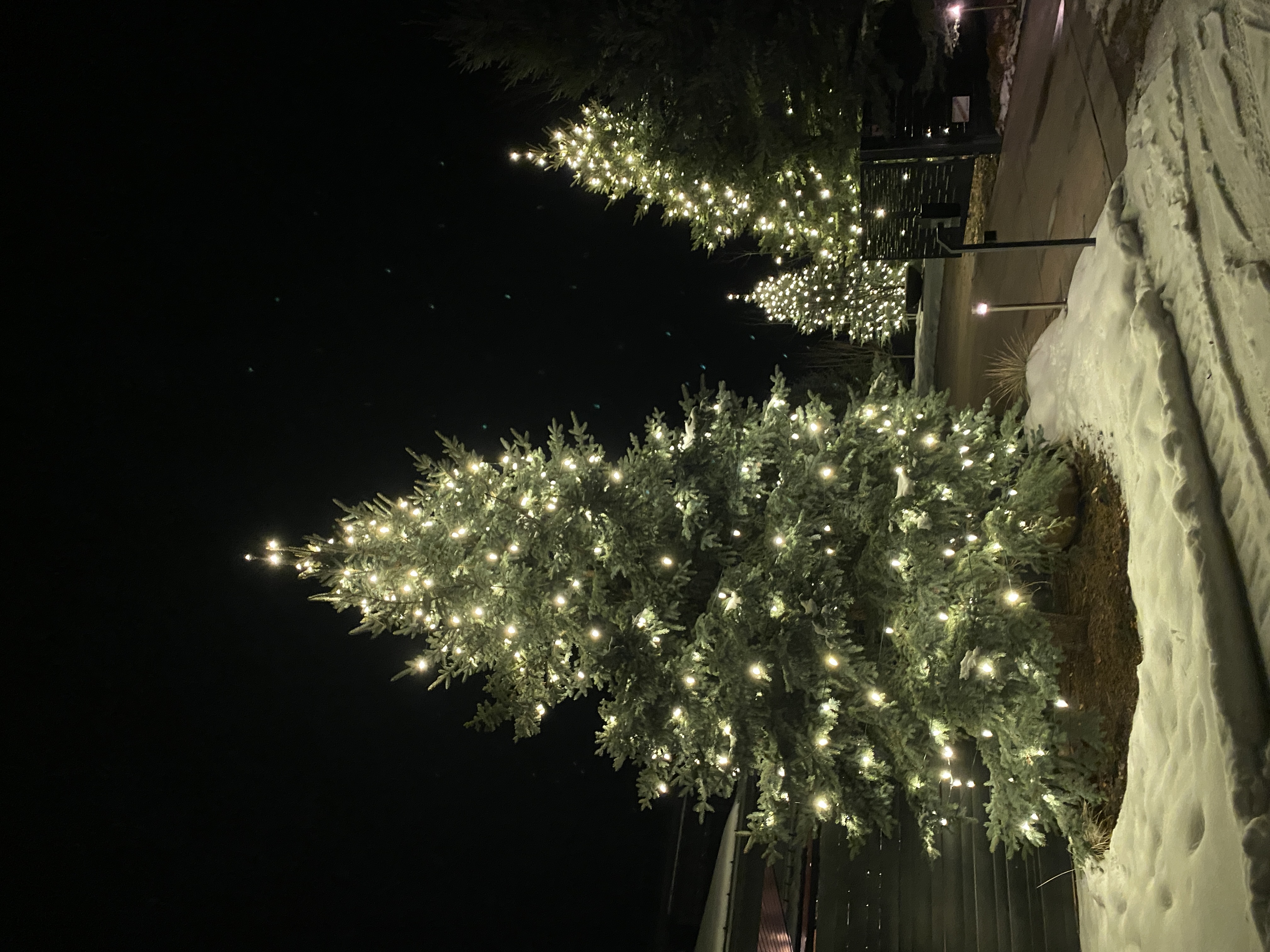 Holiday Lights 3