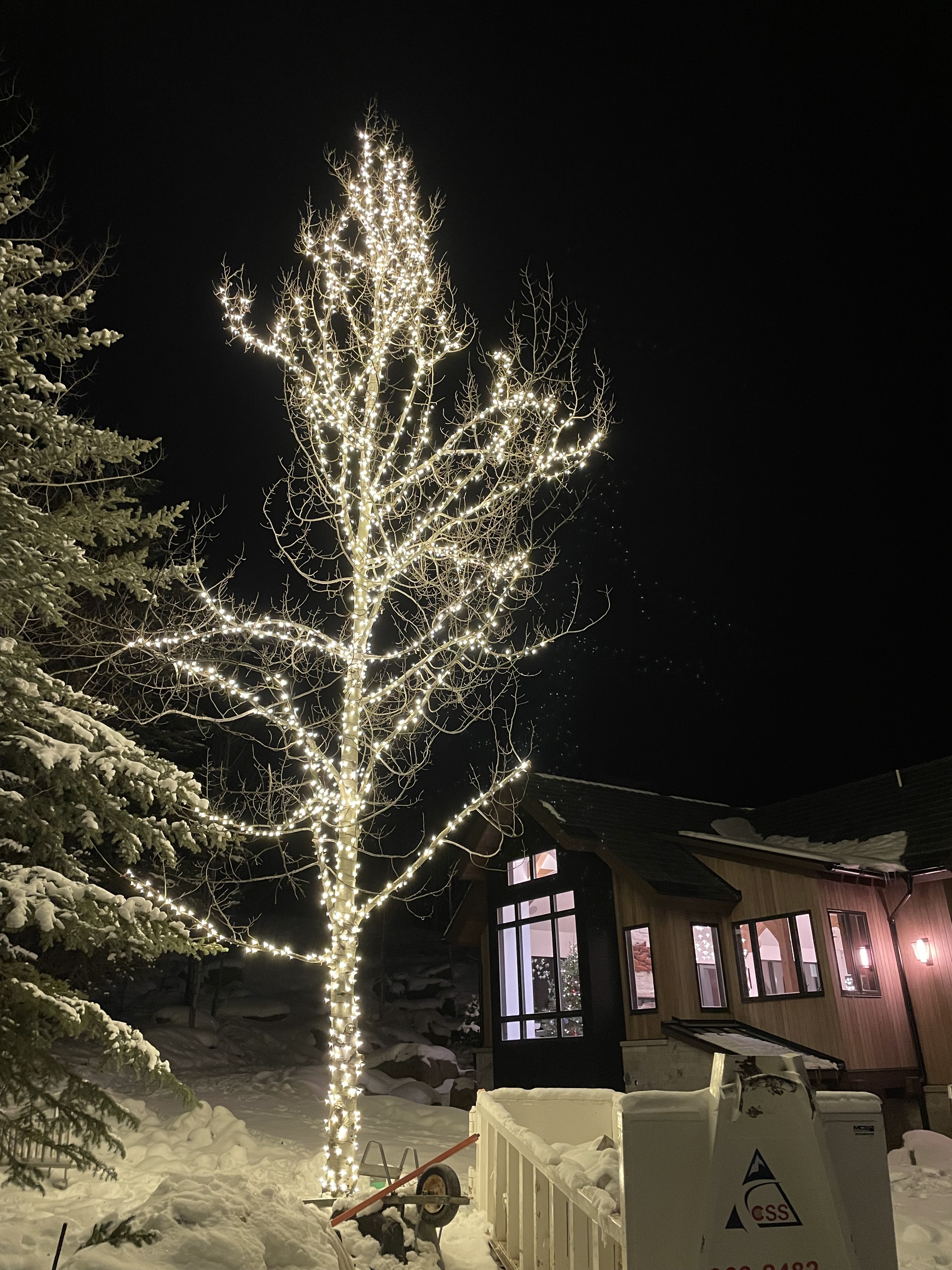Tree Lighting 4