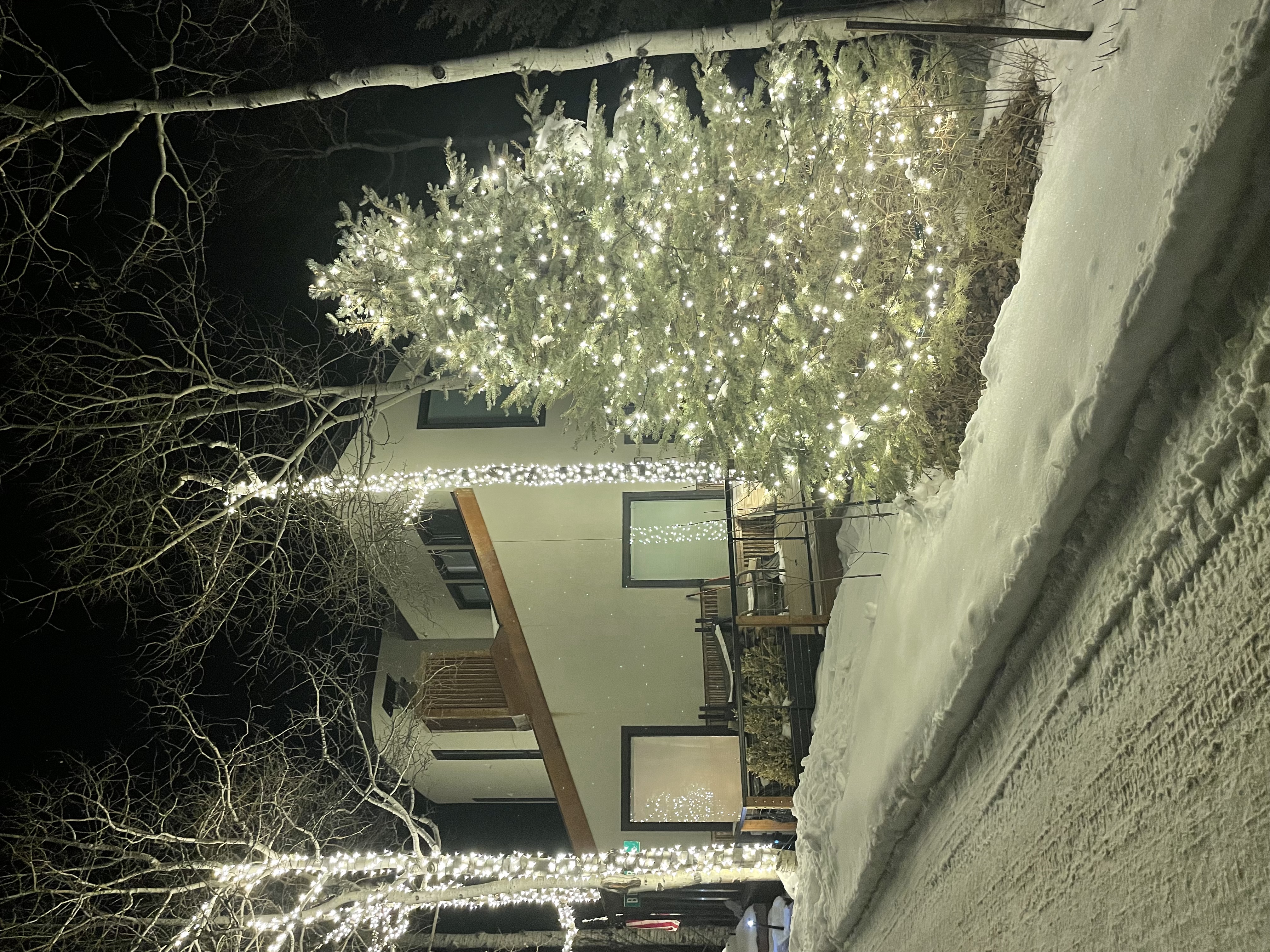 Holiday Lights 1
