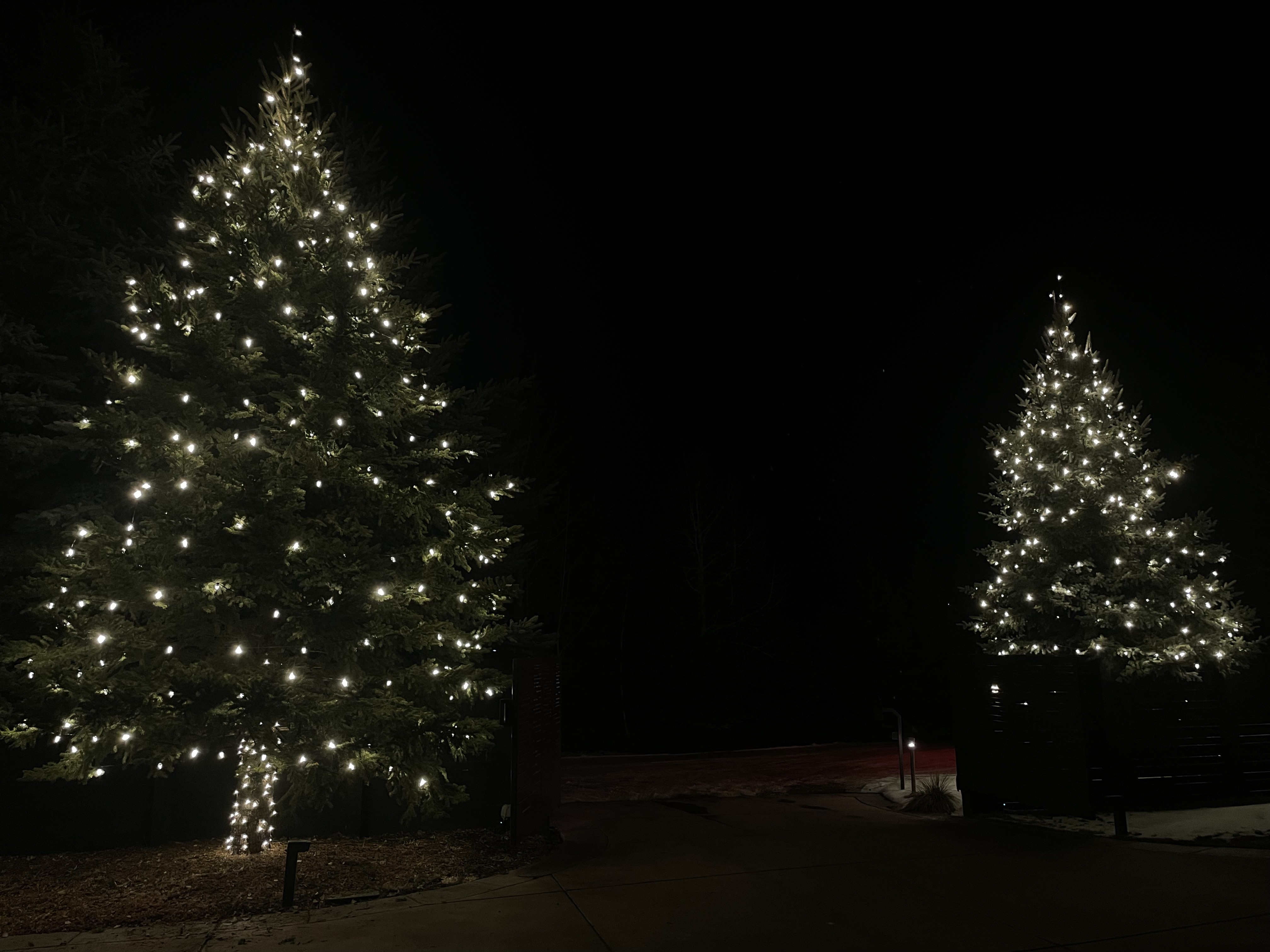Tree Lighting 8