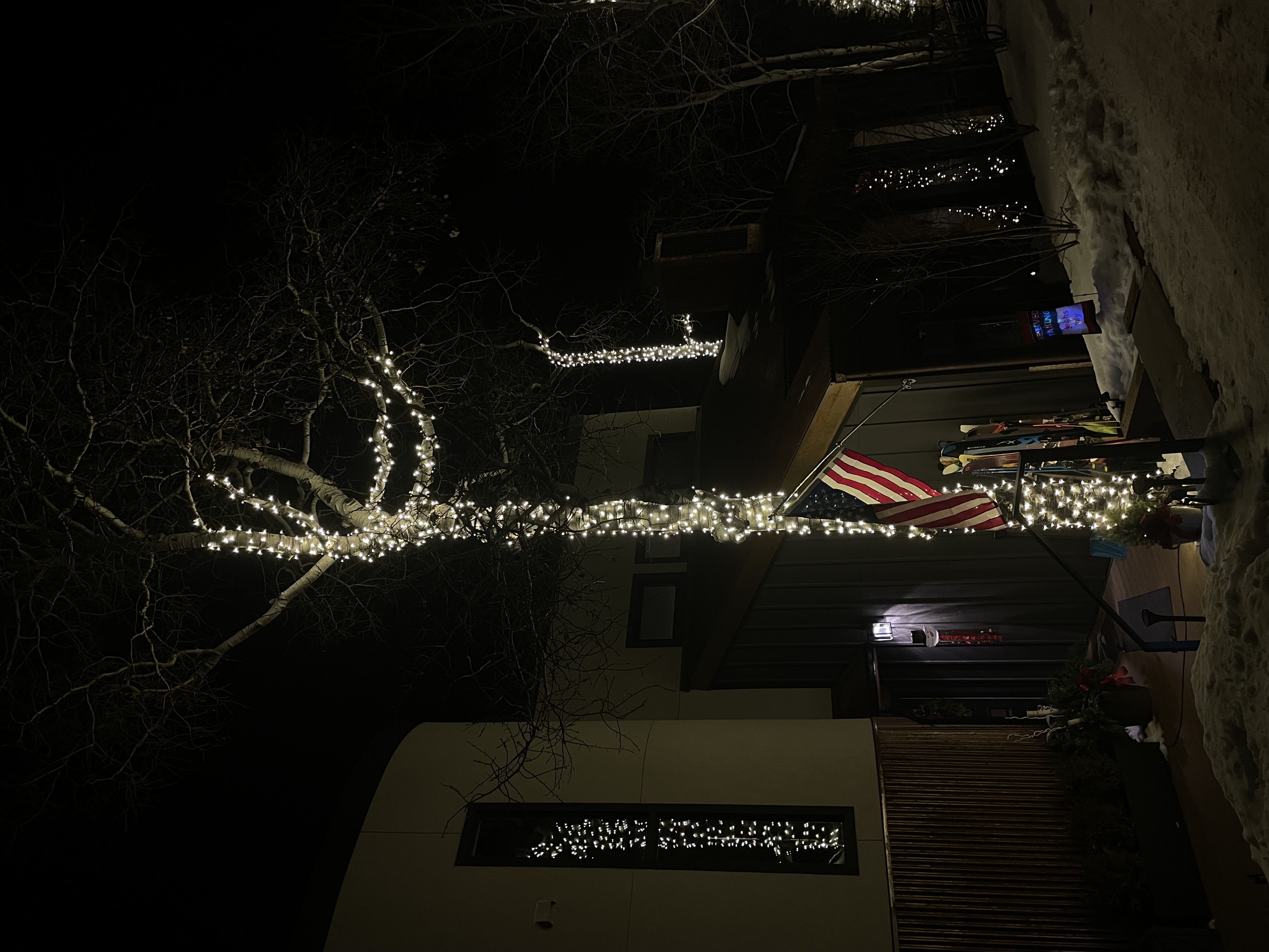 Tree Lighting 8