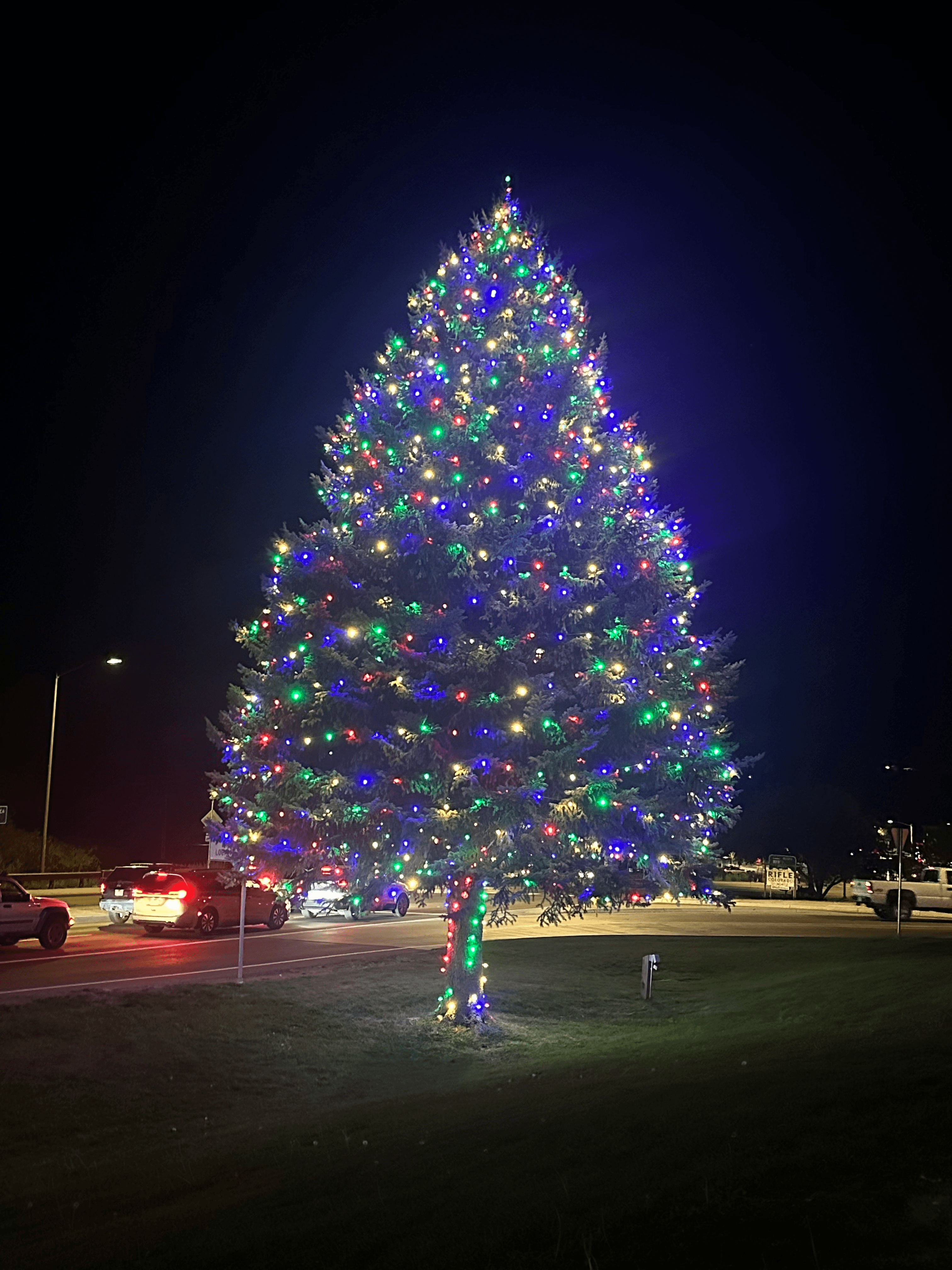 Tree Lighting 11